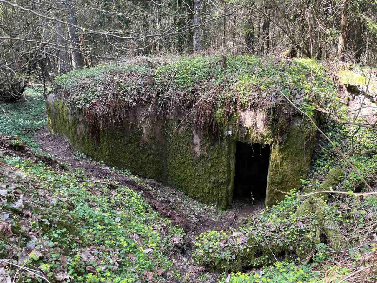 Профсоюз РУП «Минскэнерго» на пешем марафоне к 80-летию Победы