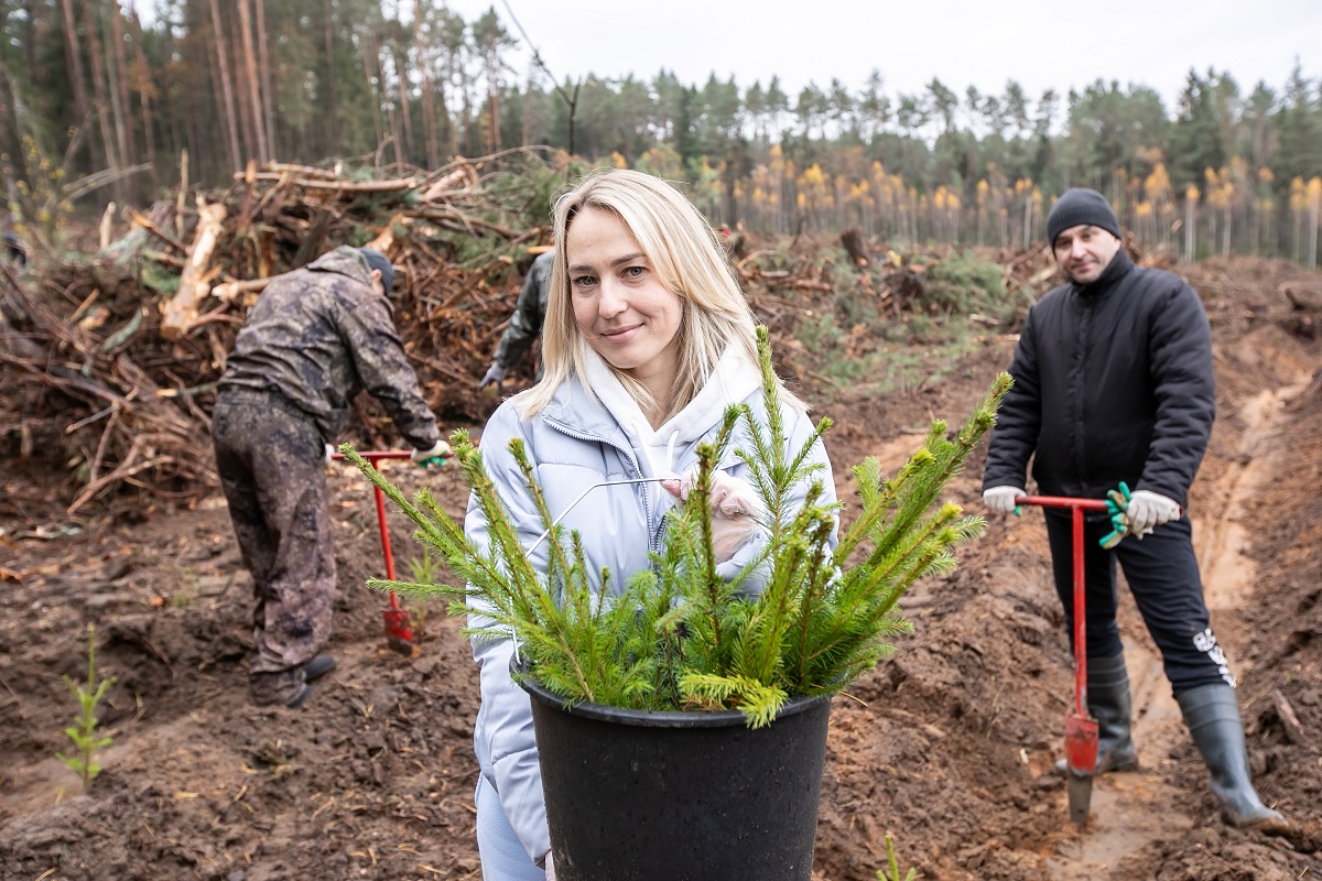 Поработали с энтузиазмом. Представители ФПБ восстановили около 14 гектаров леса на Могилевщине