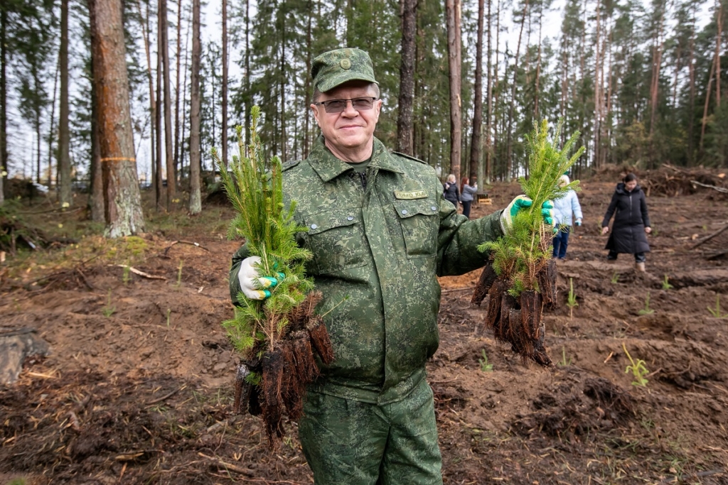 Поработали с энтузиазмом. Представители ФПБ восстановили около 14 гектаров леса на Могилевщине