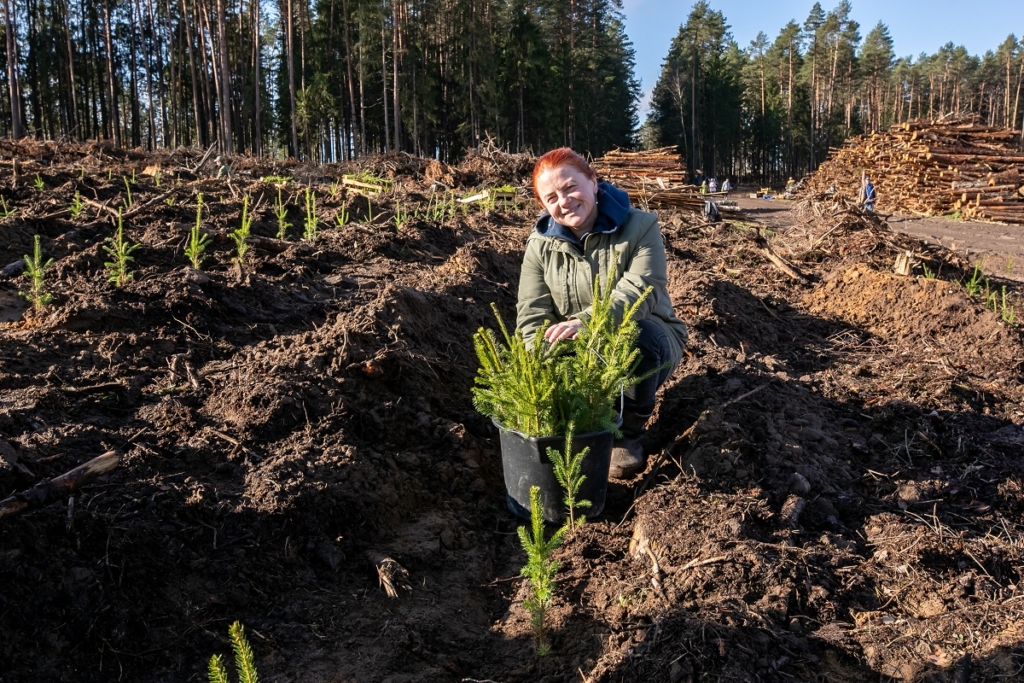 Поработали с энтузиазмом. Представители ФПБ восстановили около 14 гектаров леса на Могилевщине