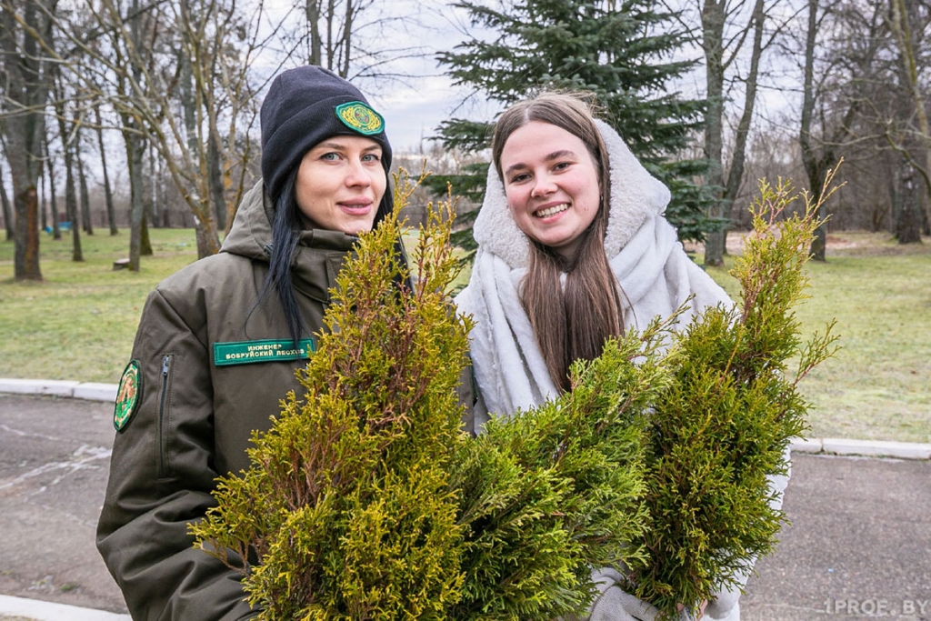 Молодежная аллея появилась в детском санатории «Свислочь»
