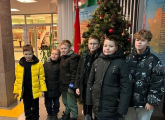 Профсоюз «Слуцких электрических сетей» подарил детям сотрудников новогоднюю сказку на льду Главная