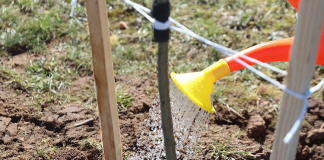 Республиканский субботник пройдет в Беларуси 18 апреля