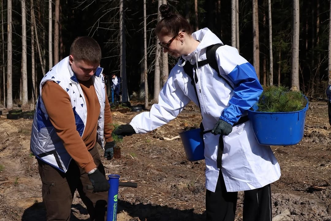 Республиканская акция «Лес! Дабро! Парадак!»: активисты Минских теплосетей высадили молодой лес в Пуховичском районе